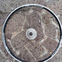 Ruote bici bontrager