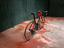 Immagine 4