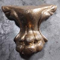 Piedi a zampa di leone