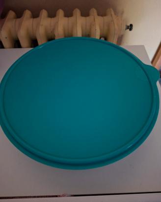 Contenitore per freezer Tupperware 