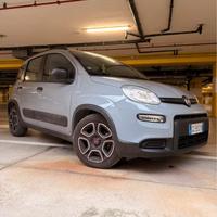 PANDA IBRIDA 6 marce