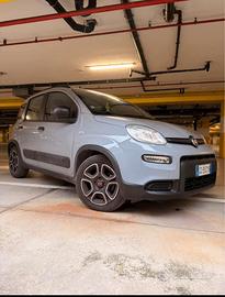 PANDA IBRIDA 6 marce