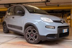 PANDA IBRIDA 6 marce