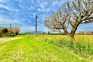 TER. RESIDENZIALE A MESTRINO