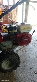 trincia snapper semovente Honda 