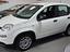 Immagine 3