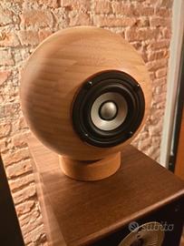 Coppia diffusori fullrange monovia