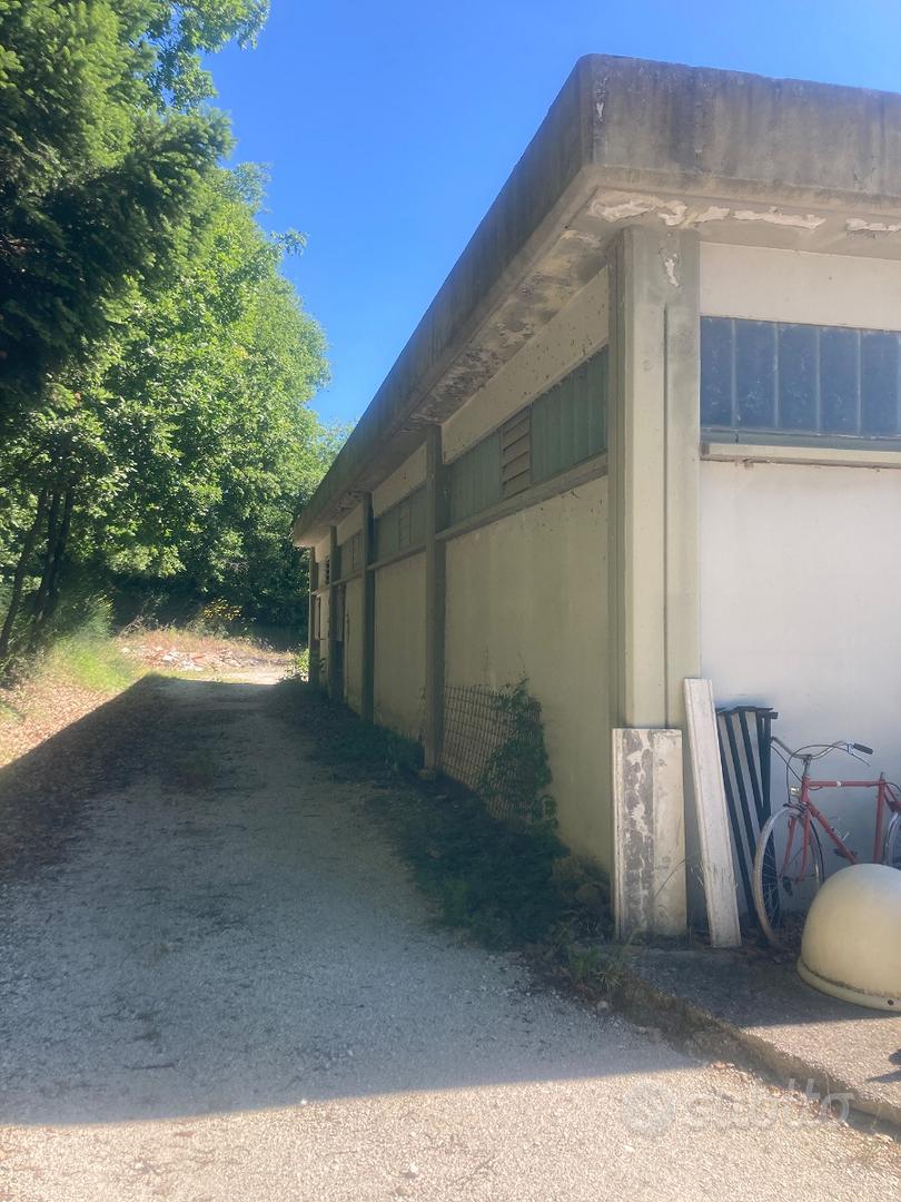 Struttura polivalente - Altro
