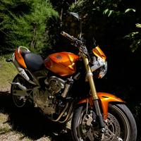 Honda Hornet 600 Kit DPM | Prezzo TRATTABILE