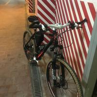 Bicicletta Dynatek Klone