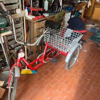 Bicicletta a tre ruote
