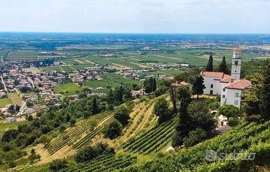 Appartamento recente e luminoso a cormons