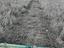 Immagine 11