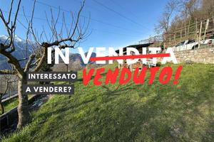 PANORAMICO TERRENO AGRICOLO