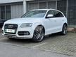 AUDI SQ5 3.0 V6 TDI Biturbo quattro tiptronic Busi