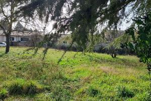 Terreno Residenziale Manziana [TE70FVRG]