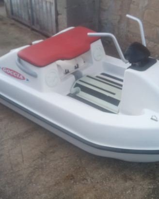 Tender, moto d acqua,