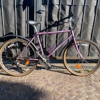 Bici diamond