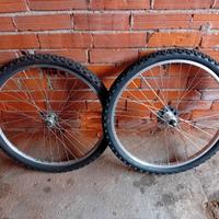 Cerchio+gomma della bici