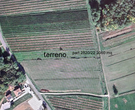 Terreno agricolo