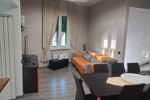 Appartamento uso turistico/transitorio Riccò di L