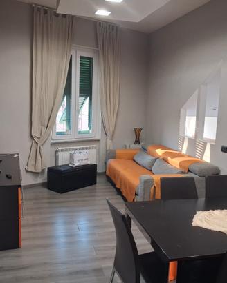 Appartamento uso turistico/transitorio Riccò di L