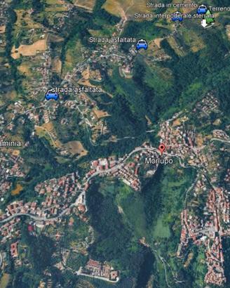 Terreno agricolo pianeggiante 2500 mq Morlupo Rom