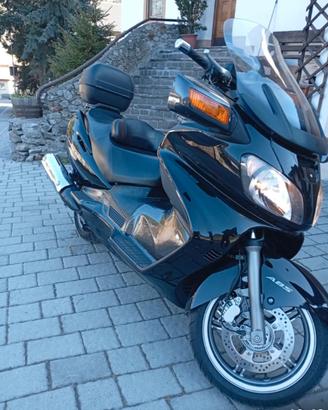 Suzuki Burgmann 650 executive