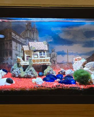 Acquario completo 20/30 litri con LED e filtro int