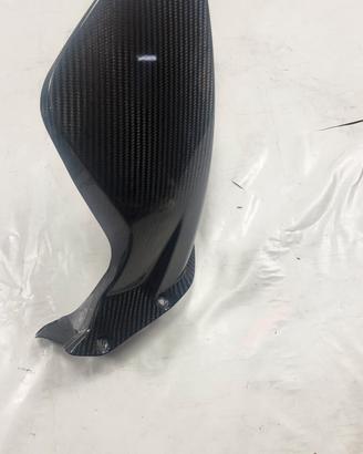 PARAFANGO POSTERIORE IN CARBONIO DUCATI STREETFIGH