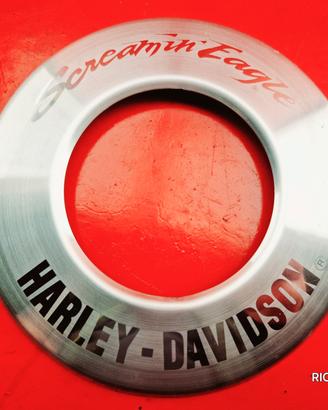 INSERTO FILTRO ARIA SCREAMIN EAGLE HARLEY DAVIDSON