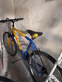 Bicicletta 