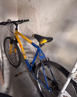 Bicicletta 