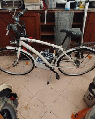 Bicicletta uomo con sediolino