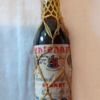 Mignon da collezione Brandy Fernando Ade Terry