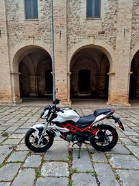  Benelli BN 125