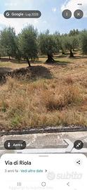 Terreno agricolo