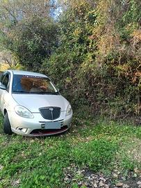 Ypsilon MOMODESIGN 1.3 105CV