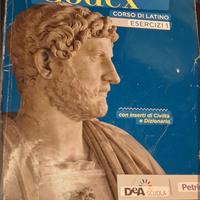 libro codex latino