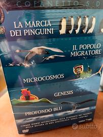 Cofanetto 5 dvd La marcia dei pinguini Sigillato