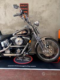 HD-FXSTS Springer Softail