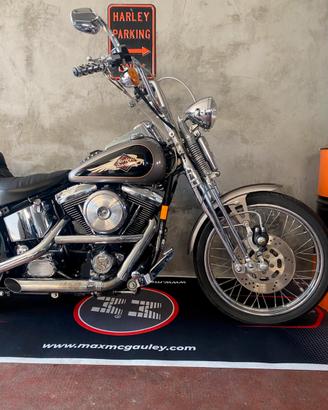 HD-FXSTS Springer Softail