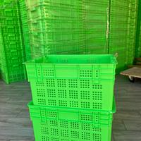 Cassette per Oliva, Impilabili, 50L, Nuove