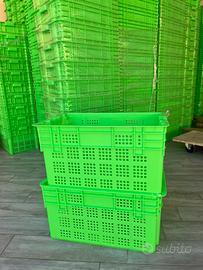 Cassette per Oliva, Impilabili, 50L, Nuove