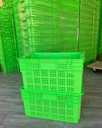 Cassette per Oliva, Impilabili, 50L, Nuove