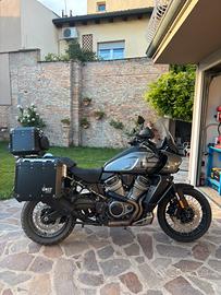 harley davidson pan america 1250 special
