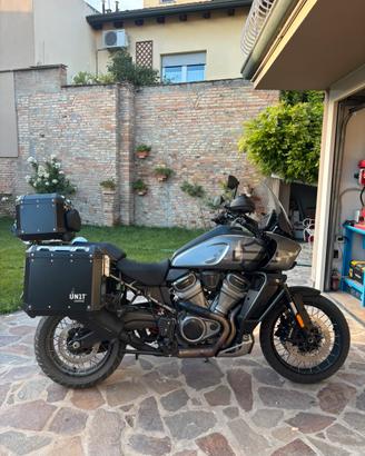 harley davidson pan america 1250 special