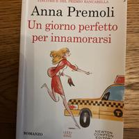 Un giorno perfetto per innamorarsi