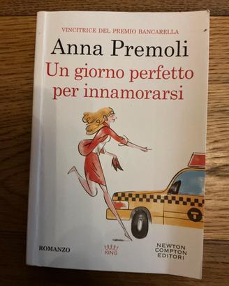 Un giorno perfetto per innamorarsi