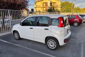 Fiat Panda 1.2 EasyPower GPL 69 CV 2016